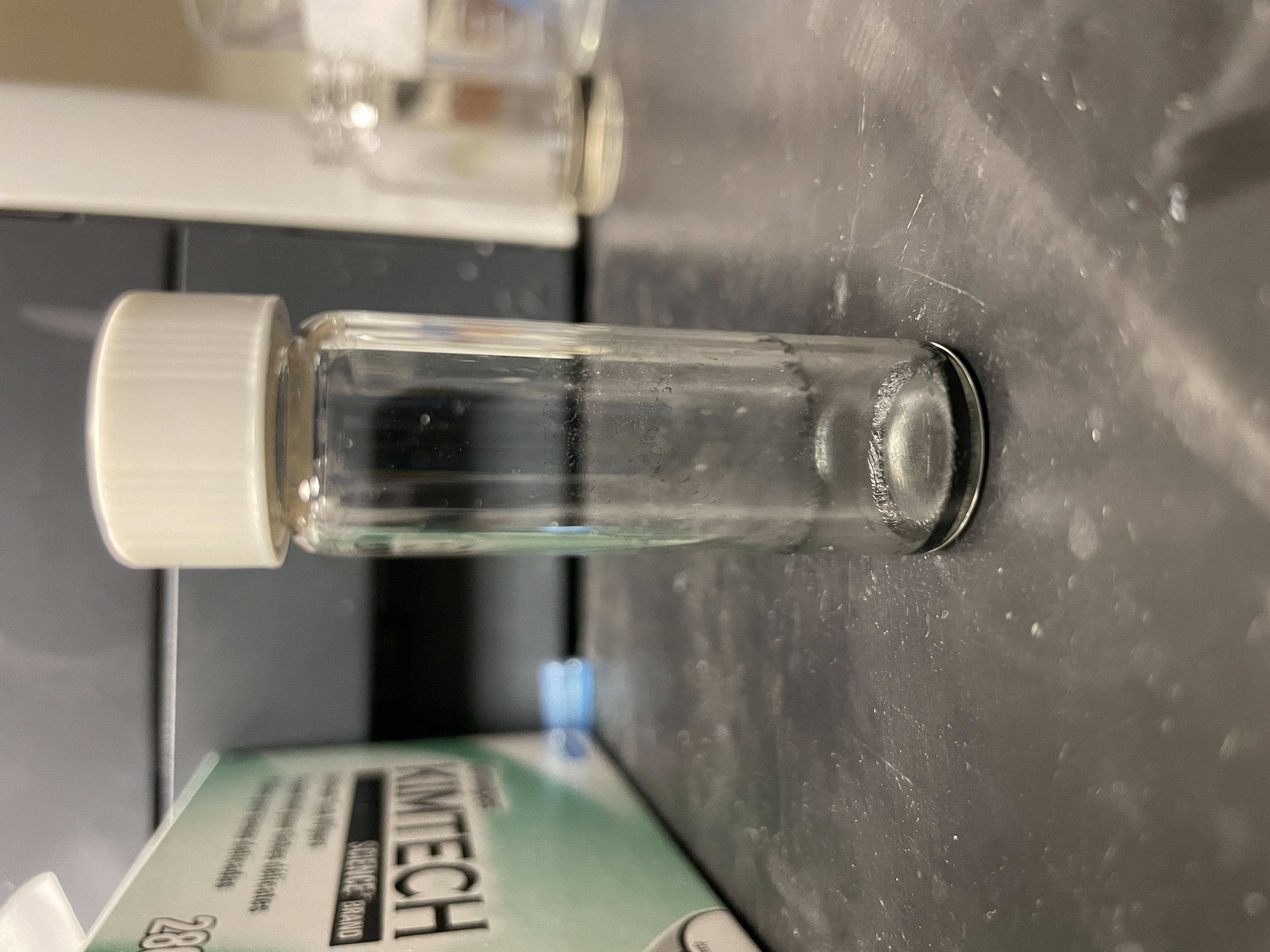 UCSC Science Internship Program